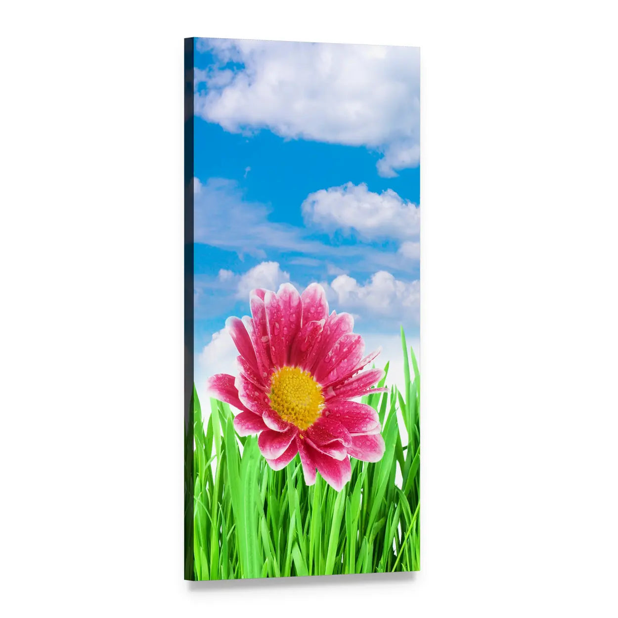 Pink Daisy Close-up with Dew Drops Vertical Canvas Wall Art, 1 panel 1 Vertical layout gallery wrapped canvas set, angled product view