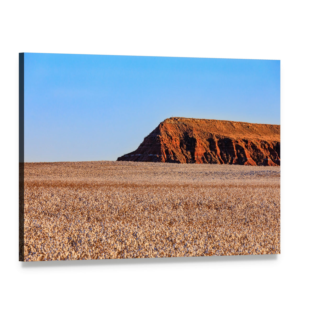 Red Rock Mesa and Arid Field Canvas Wall Art, single panel gallery wrapped canvas, angled product view