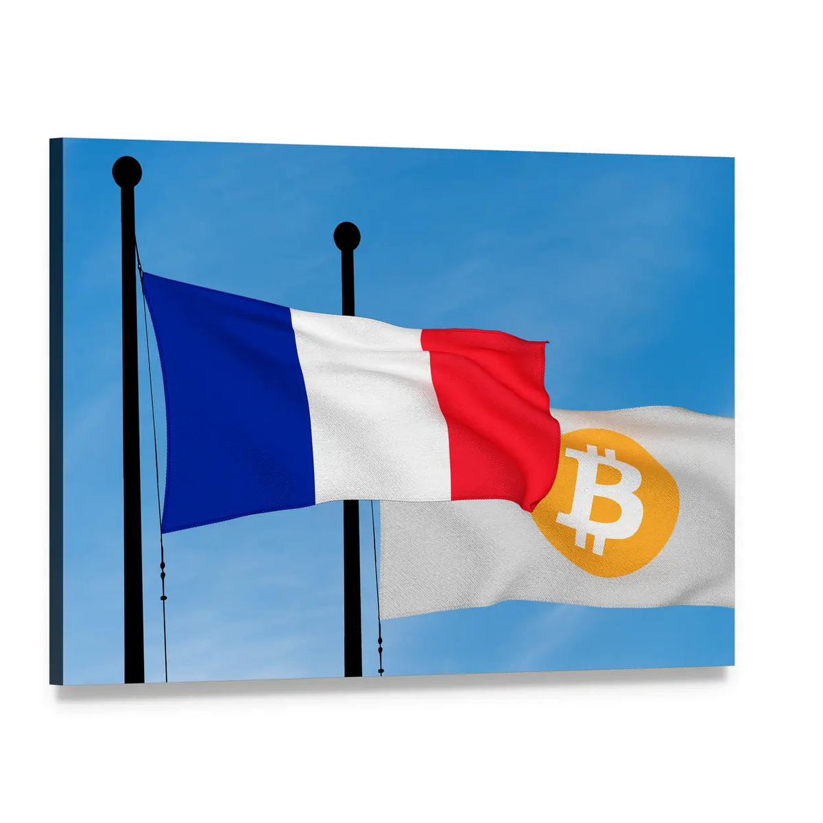 French Tricolor and Bitcoin Flag Canvas Wall Art, single panel gallery wrapped canvas, angled product view