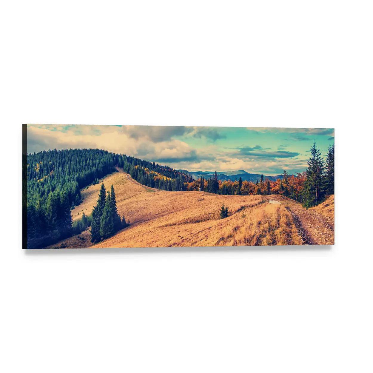 Mountain Landscape with Golden Meadow Panoramic Canvas Wall Art, single panel gallery wrapped canvas, angled product view