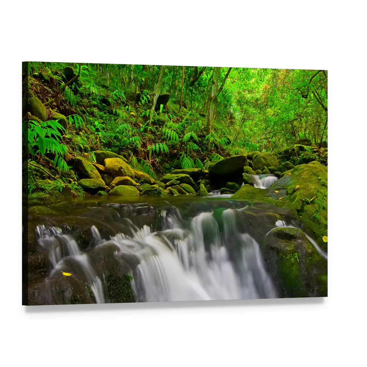 Stream Flowing Through Lush Jungle In Maui Hawaii Canvas Wall Art, single panel gallery wrapped canvas, angled product view