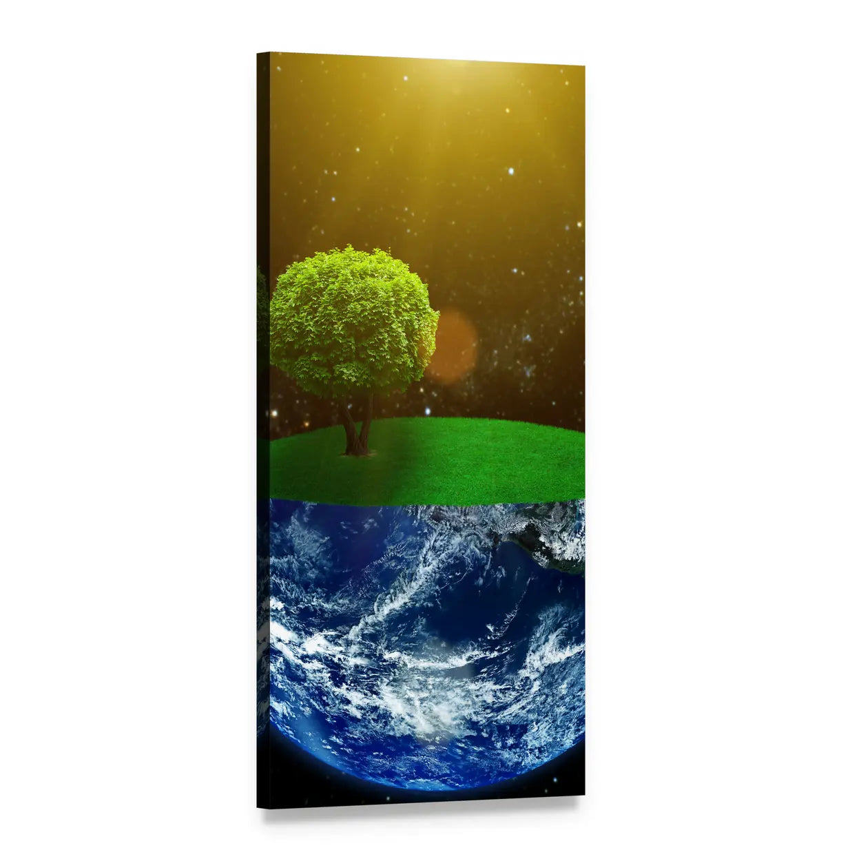 Day of the Earth Vertical Canvas Wall Art, 1 panel 1 Vertical layout gallery wrapped canvas set, angled product view