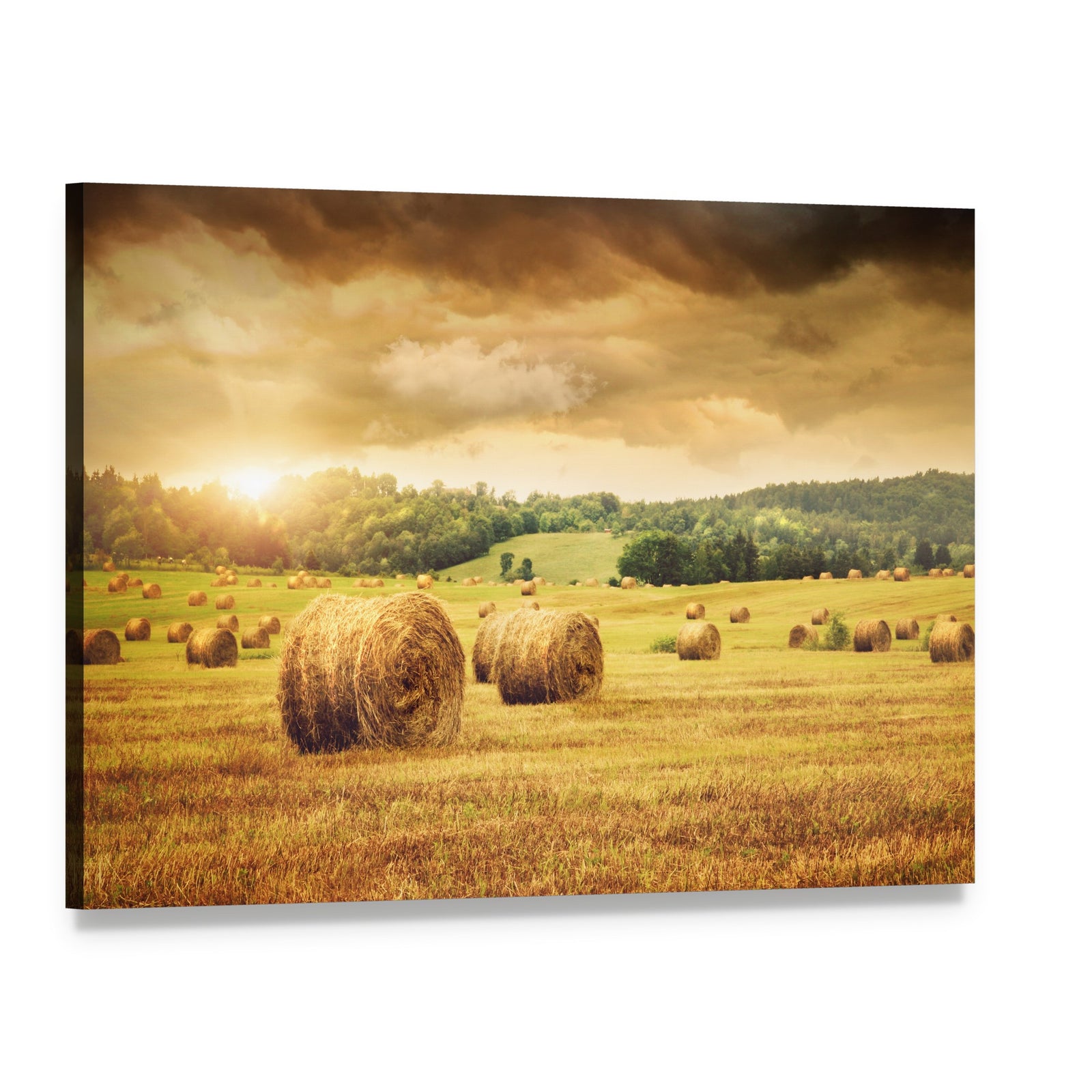 Cut Bales of Hay Canvas Wall Art, single panel gallery wrapped canvas, angled product view