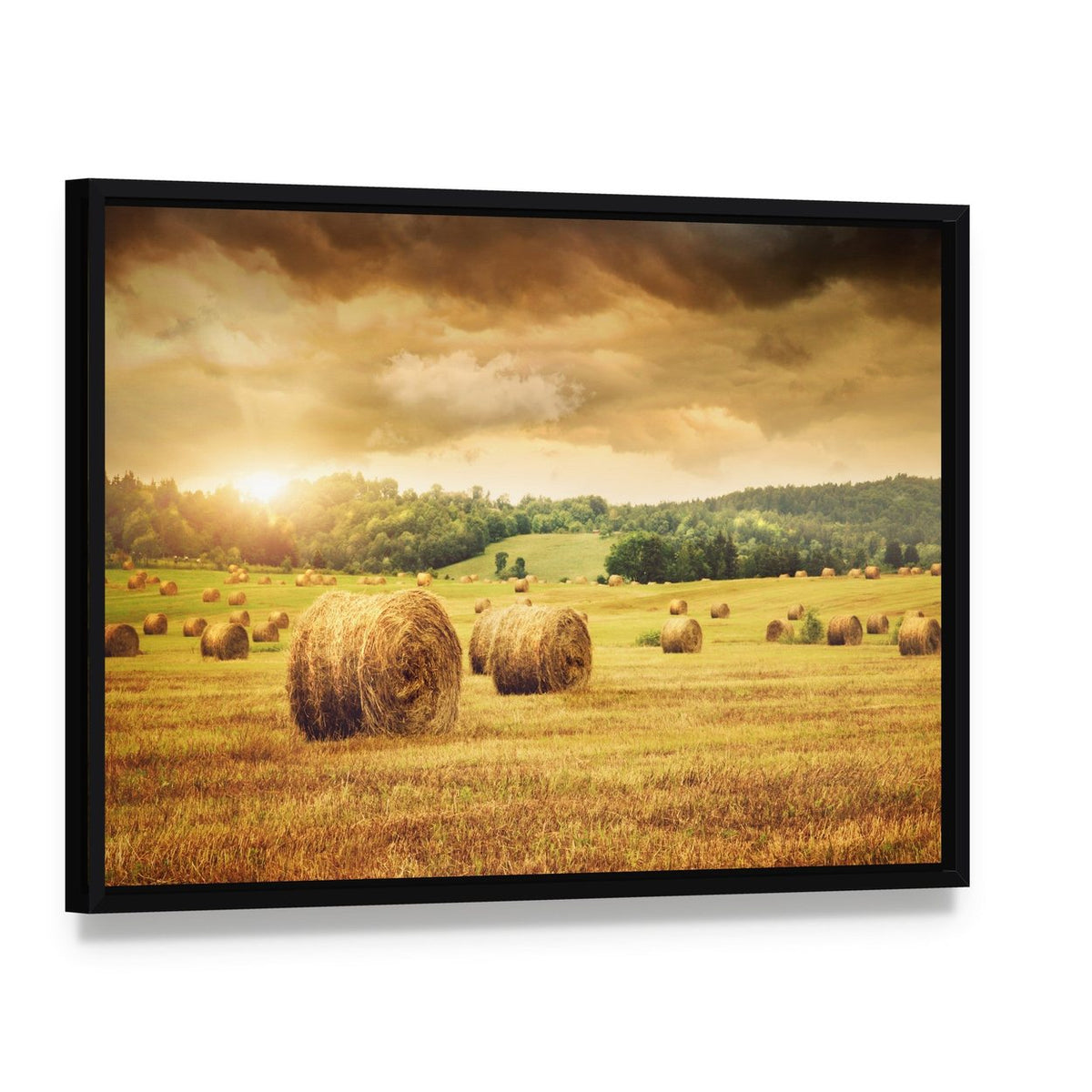 Cut Bales of Hay Canvas Wall Art, framed canvas in a black floater frame, angled product view
