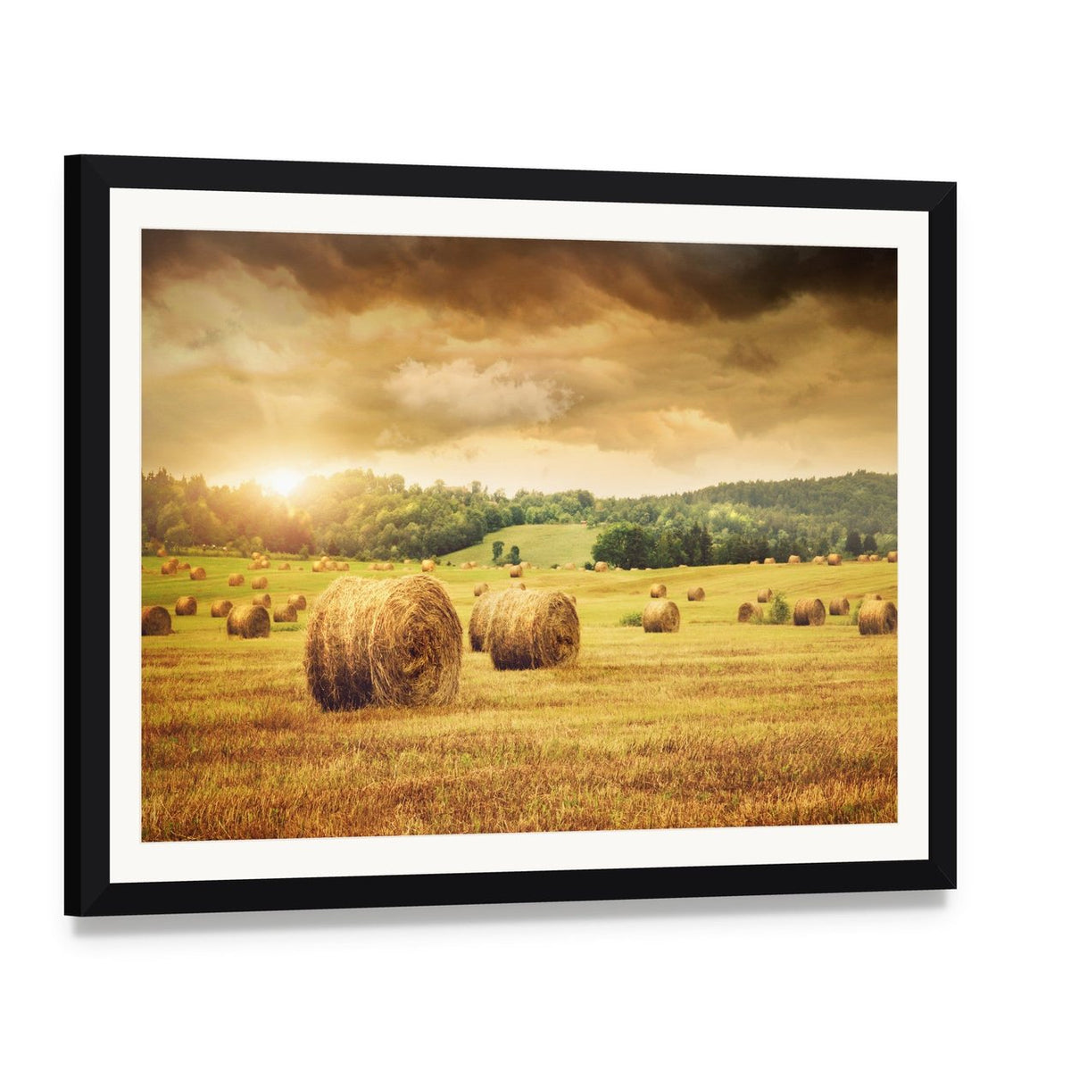Cut Bales of Hay Canvas Wall Art, framed print with white mat and black frame, angled product view
