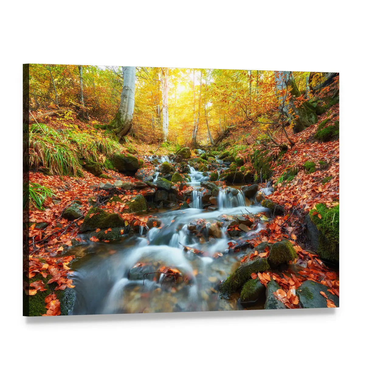 Autumn Forest Stream Canvas Wall Art, single panel gallery wrapped canvas, angled product view