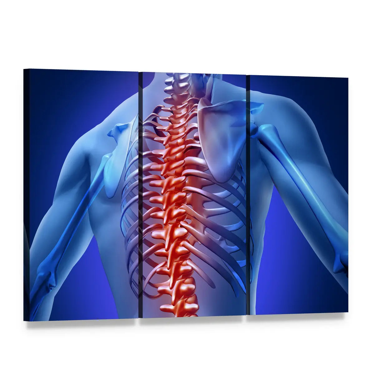 Glowing Red Spine Anatomy Illustration Canvas Wall Art, 3 panel 3 Horizontal layout gallery wrapped canvas set, angled product view