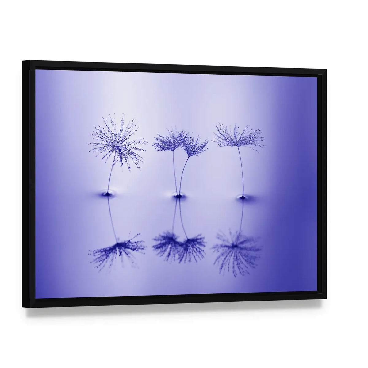 Dandelion Seeds on Water Canvas Wall Art, framed canvas in a black floater frame, angled product view