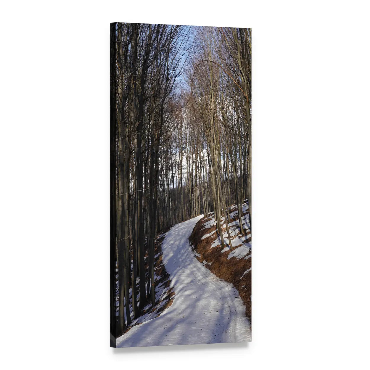 Snowy Forest Road in Slovakia Vertical Canvas Wall Art, 1 panel 1 Vertical layout gallery wrapped canvas set, angled product view