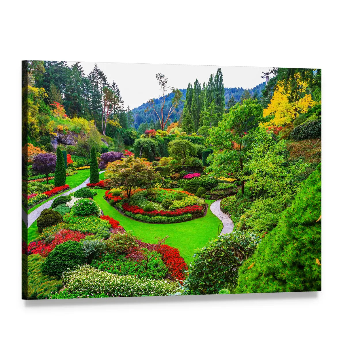 Vancouver Island Garden with Winding Path Canvas Wall Art, single panel gallery wrapped canvas, angled product view