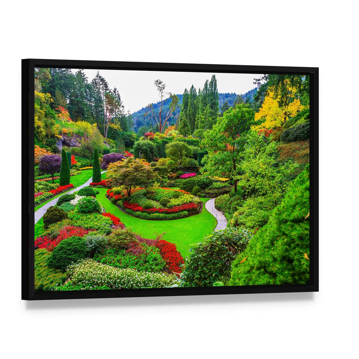 Vancouver Island Garden with Winding Path Canvas Wall Art, framed canvas in a black floater frame, angled product view