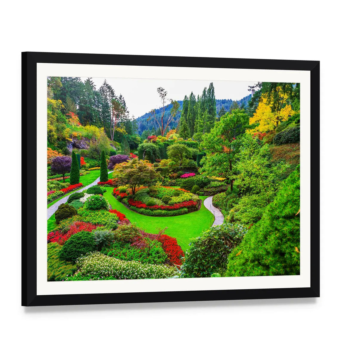 Vancouver Island Garden with Winding Path Canvas Wall Art, framed print with white mat and black frame, angled product view