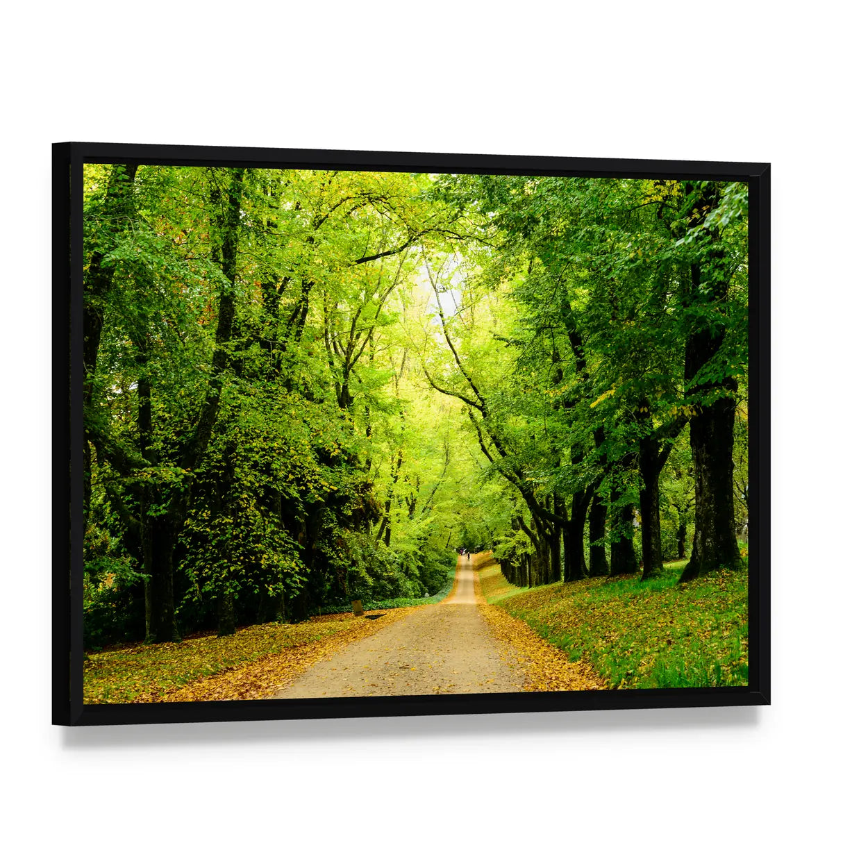 Path In The Forest Woods Canvas Wall Art, framed canvas in a black floater frame, angled product view