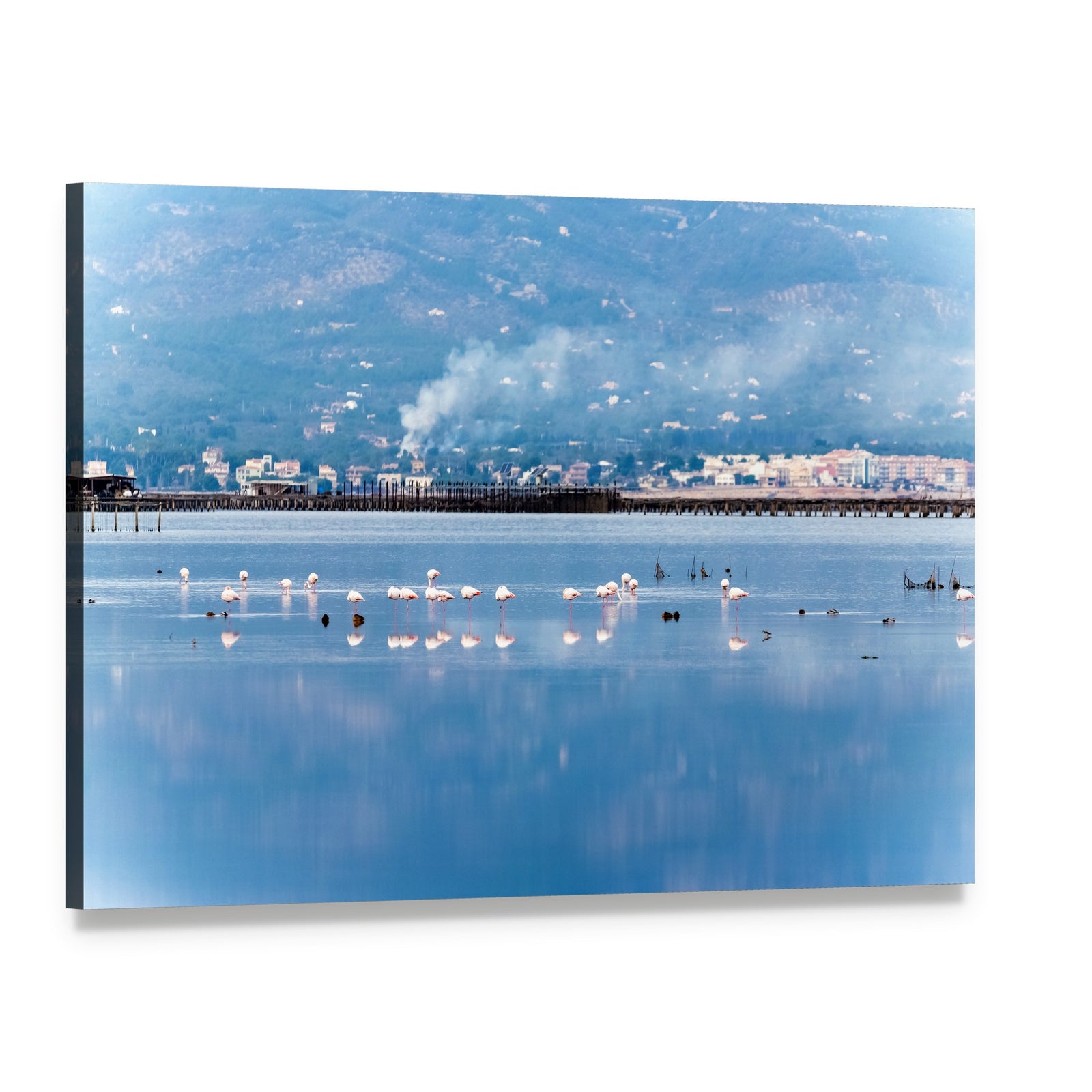 Flamingos Wading in Blue Lake Canvas Wall Art, single panel gallery wrapped canvas, angled product view