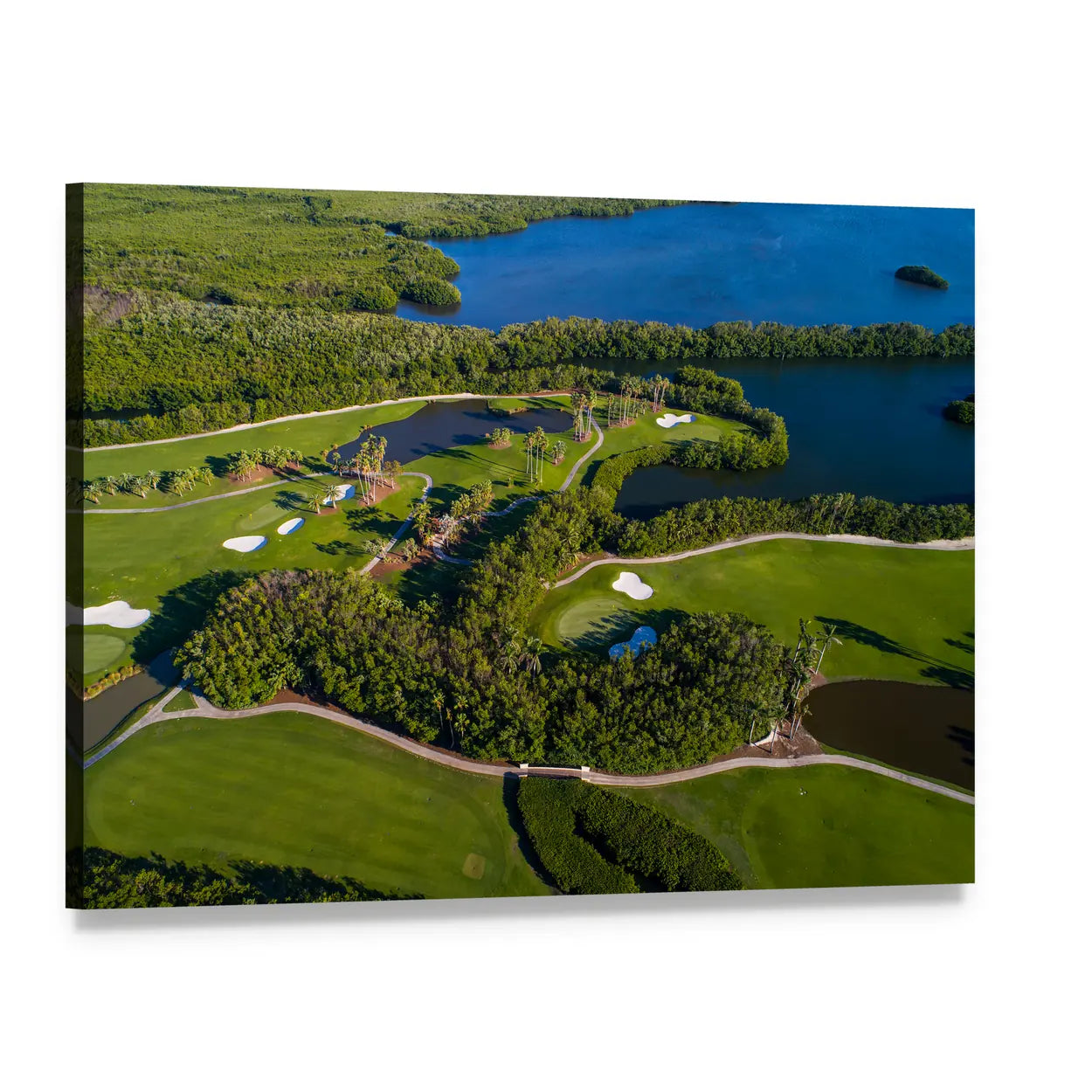 Aerial View of Golf Course Canvas Wall Art, single panel gallery wrapped canvas, angled product view