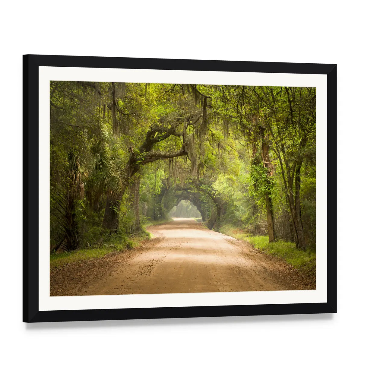 Edisto Island Spanish Moss Forest Canvas Wall Art, framed print with white mat and black frame, angled product view