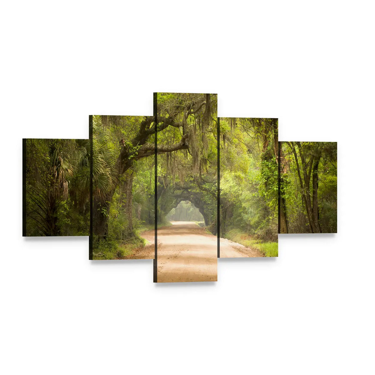 Edisto Island Spanish Moss Forest Canvas Wall Art, 5 panel 5 Star layout gallery wrapped canvas set, angled product view