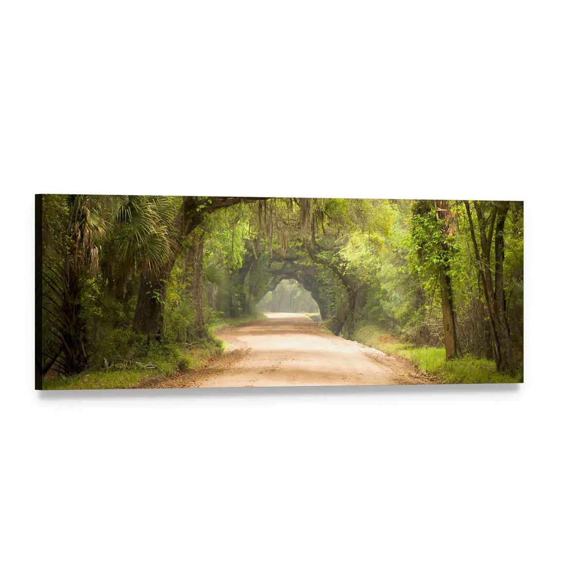 Spanish Moss Road at Edisto Island Panoramic Canvas Wall Art, single panel gallery wrapped canvas, angled product view
