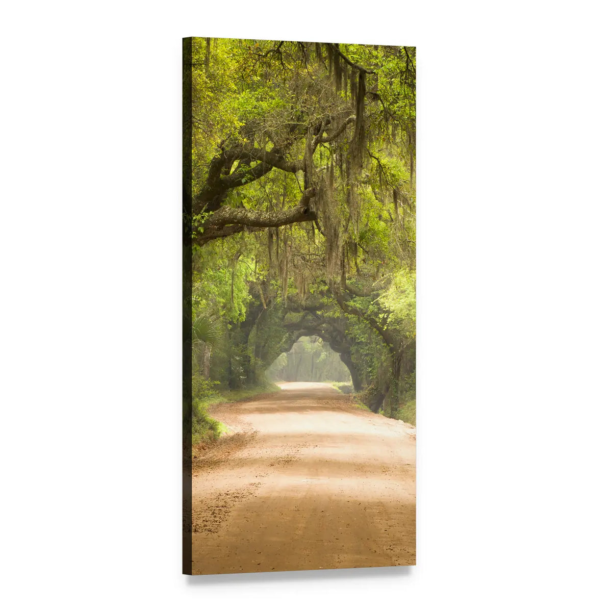 Dirt Road Under Spanish Moss Vertical Canvas Wall Art, 1 panel 1 Vertical layout gallery wrapped canvas set, angled product view