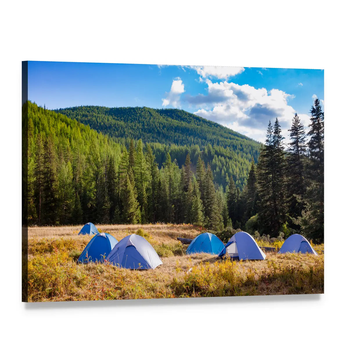 Blue Camping Tents in Mountain Meadow Canvas Wall Art, single panel gallery wrapped canvas, angled product view