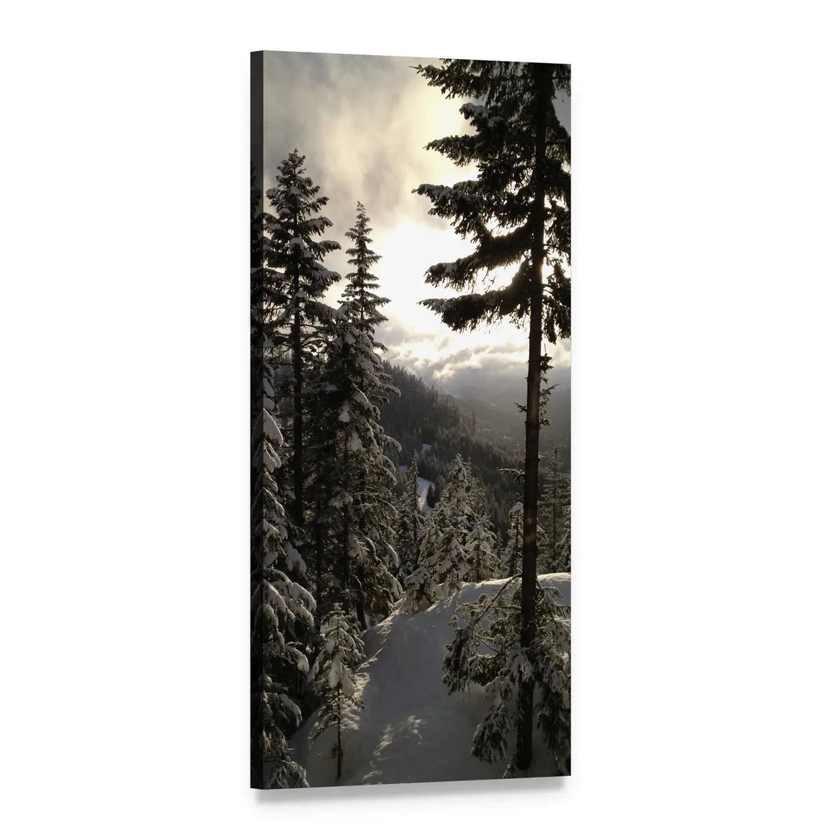 Backlit Snow-covered Pine Forest Vertical Canvas Wall Art, 1 panel 1 Vertical layout gallery wrapped canvas set, angled product view