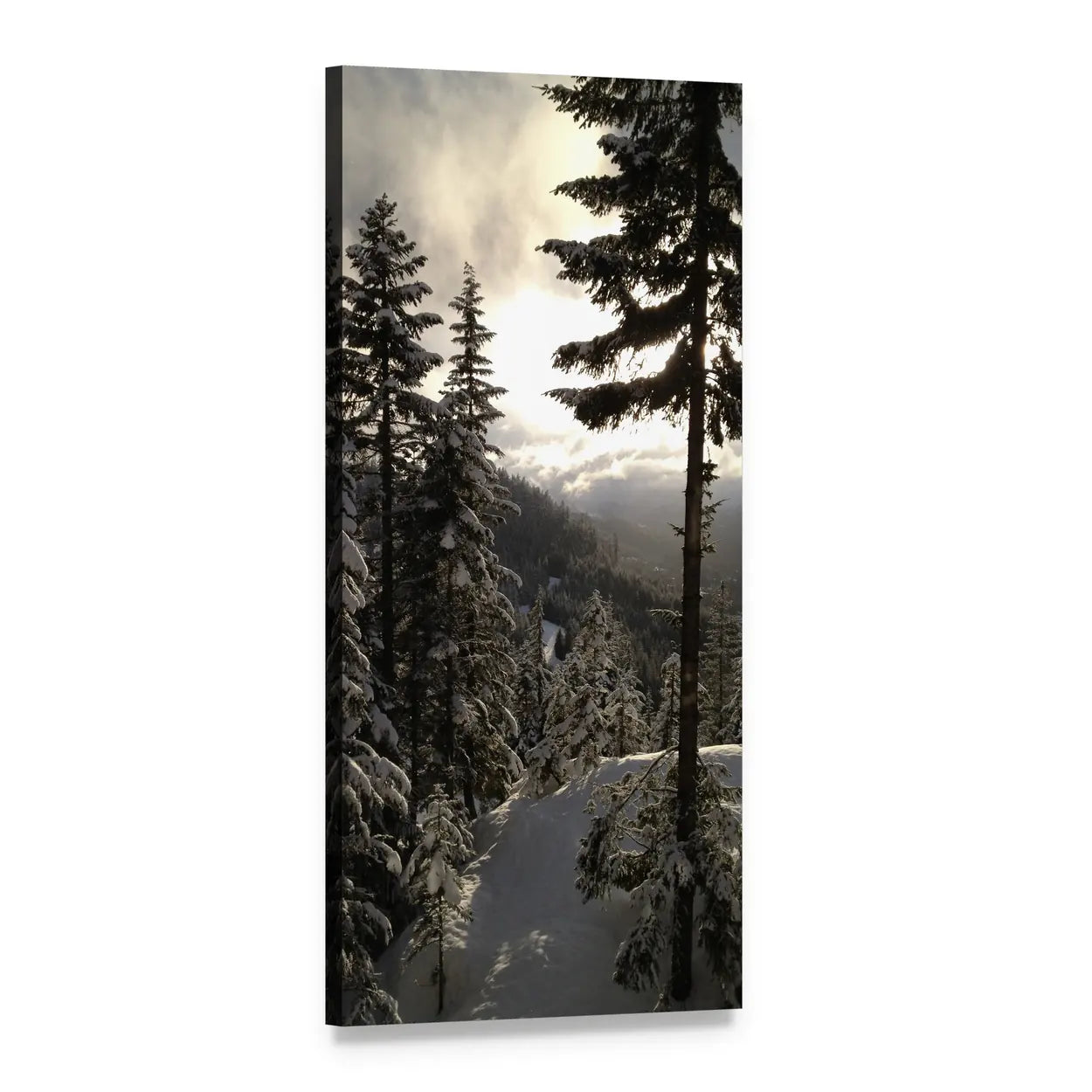 Backlit Snow-covered Pine Forest Vertical Canvas Wall Art, 1 panel 1 Vertical layout gallery wrapped canvas set, angled product view