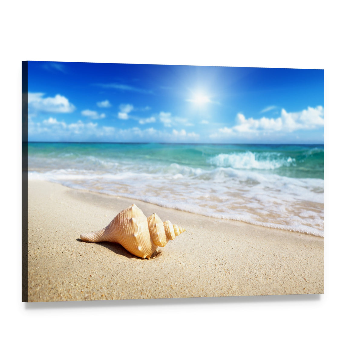 Seashell on the Beach Canvas Wall Art, single panel gallery wrapped canvas, angled product view