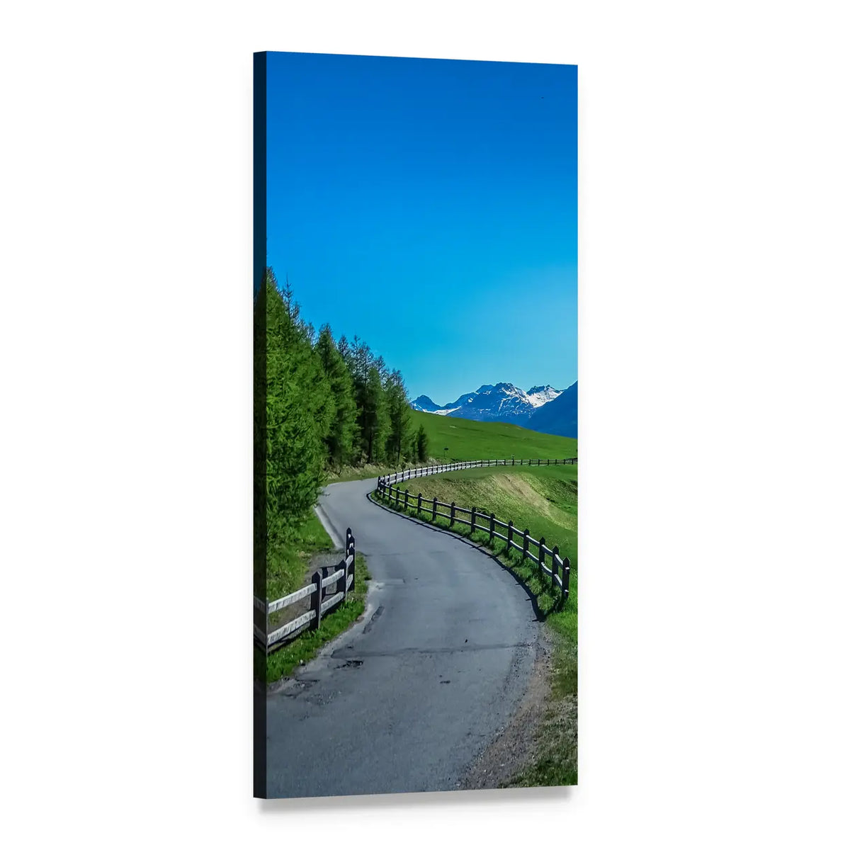 Winding Road in Swiss National Park Vertical Canvas Wall Art, 1 panel 1 Vertical layout gallery wrapped canvas set, angled product view