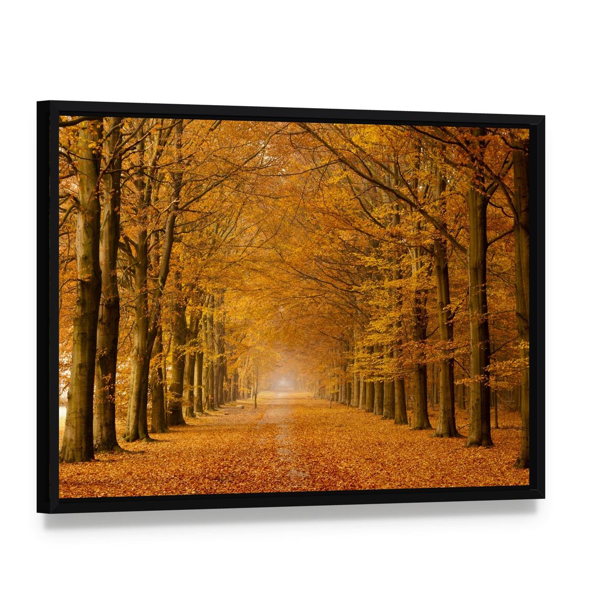 Trees Alongside Road in Autumn Canvas Wall Art, framed canvas in a black floater frame, angled product view
