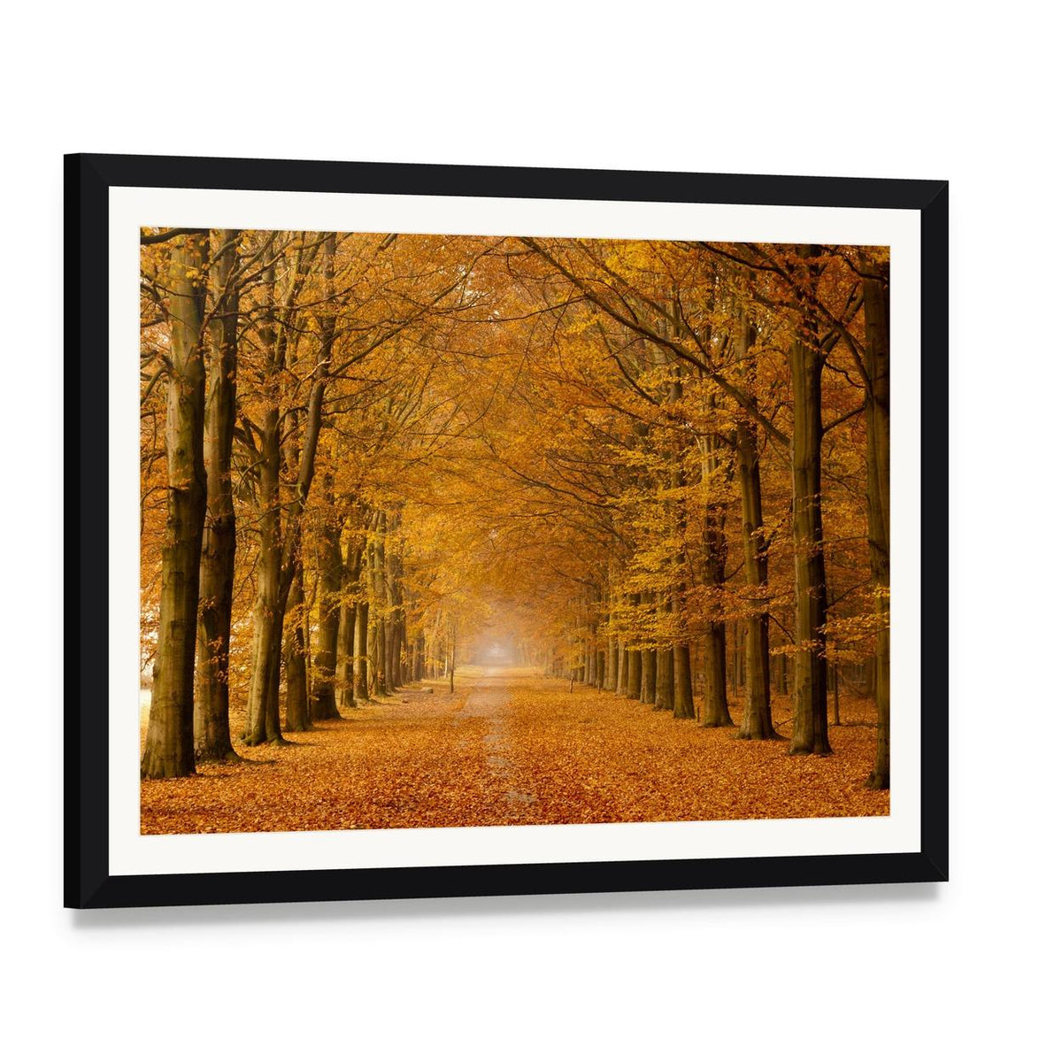 Trees Alongside Road in Autumn Canvas Wall Art, framed print with white mat and black frame, angled product view