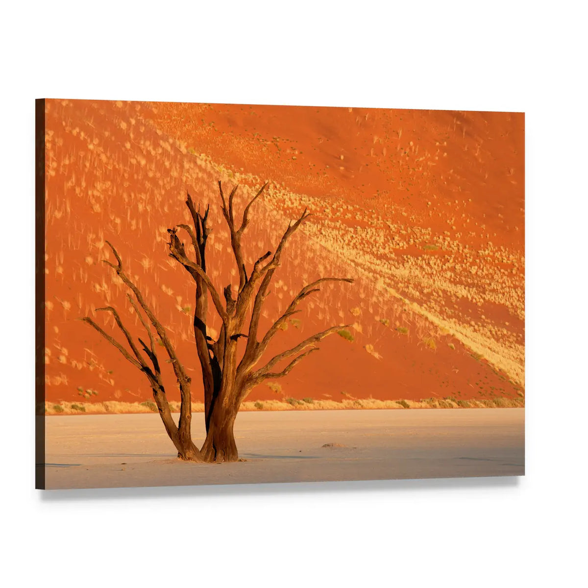 Dead Acacia Against Red Sand Dune, Namibia Canvas Wall Art, single panel gallery wrapped canvas, angled product view