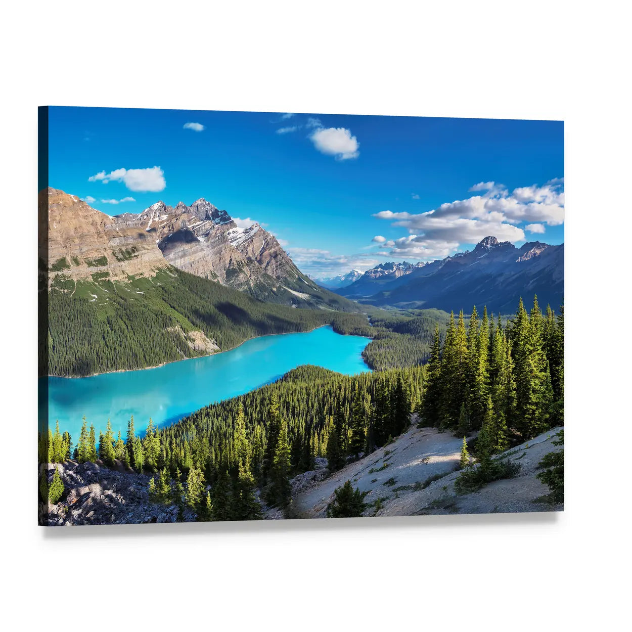 Peyto Lake, Canadian Rockies Vista Canvas Wall Art, single panel gallery wrapped canvas, angled product view