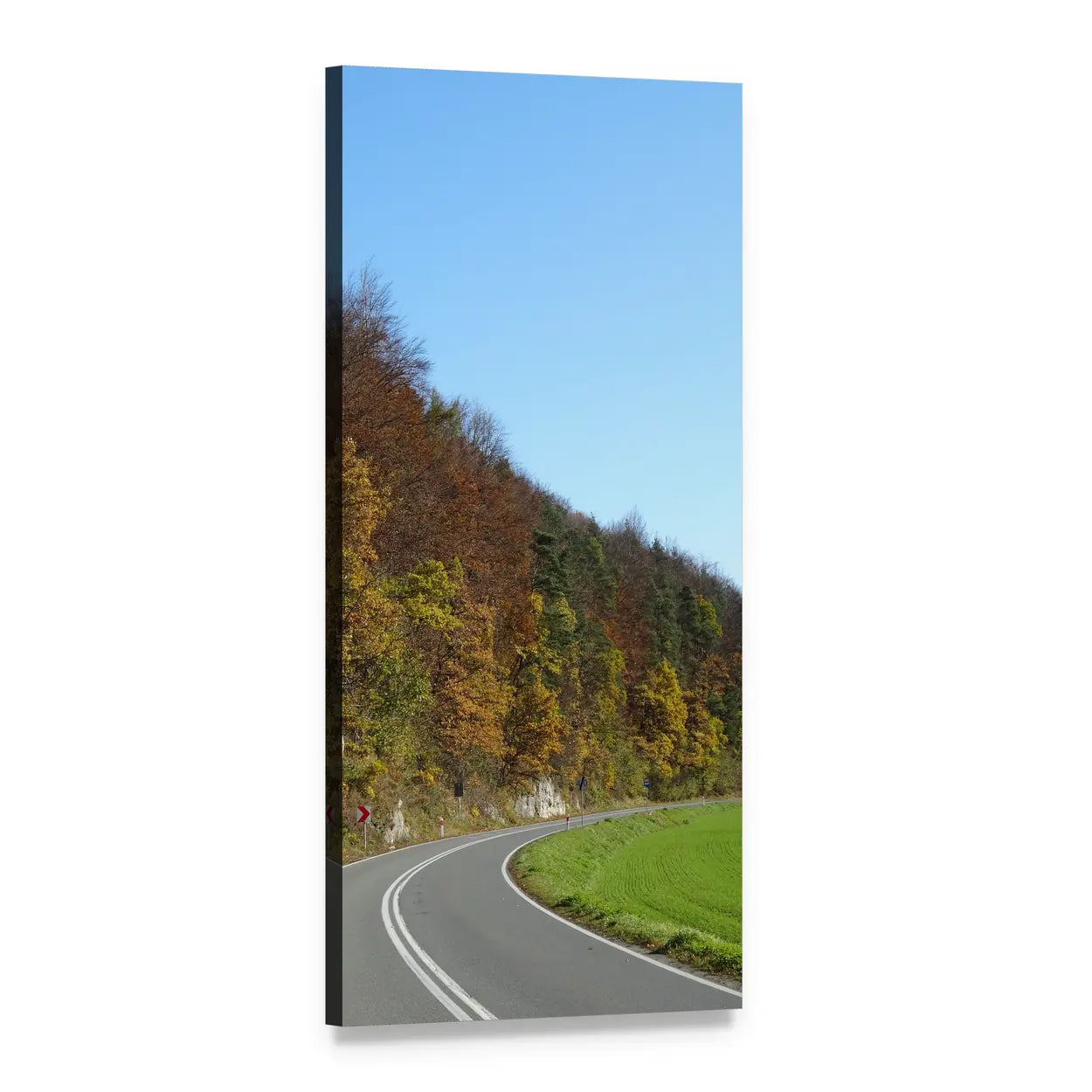 Winding Autumn Road Through Forest Vertical Canvas Wall Art, 1 panel 1 Vertical layout gallery wrapped canvas set, angled product view