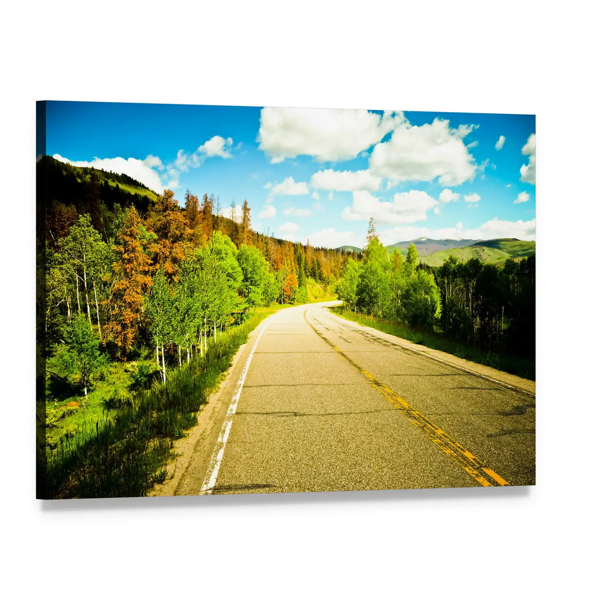 Sunny Road Through Autumn Trees Canvas Wall Art, single panel gallery wrapped canvas, angled product view