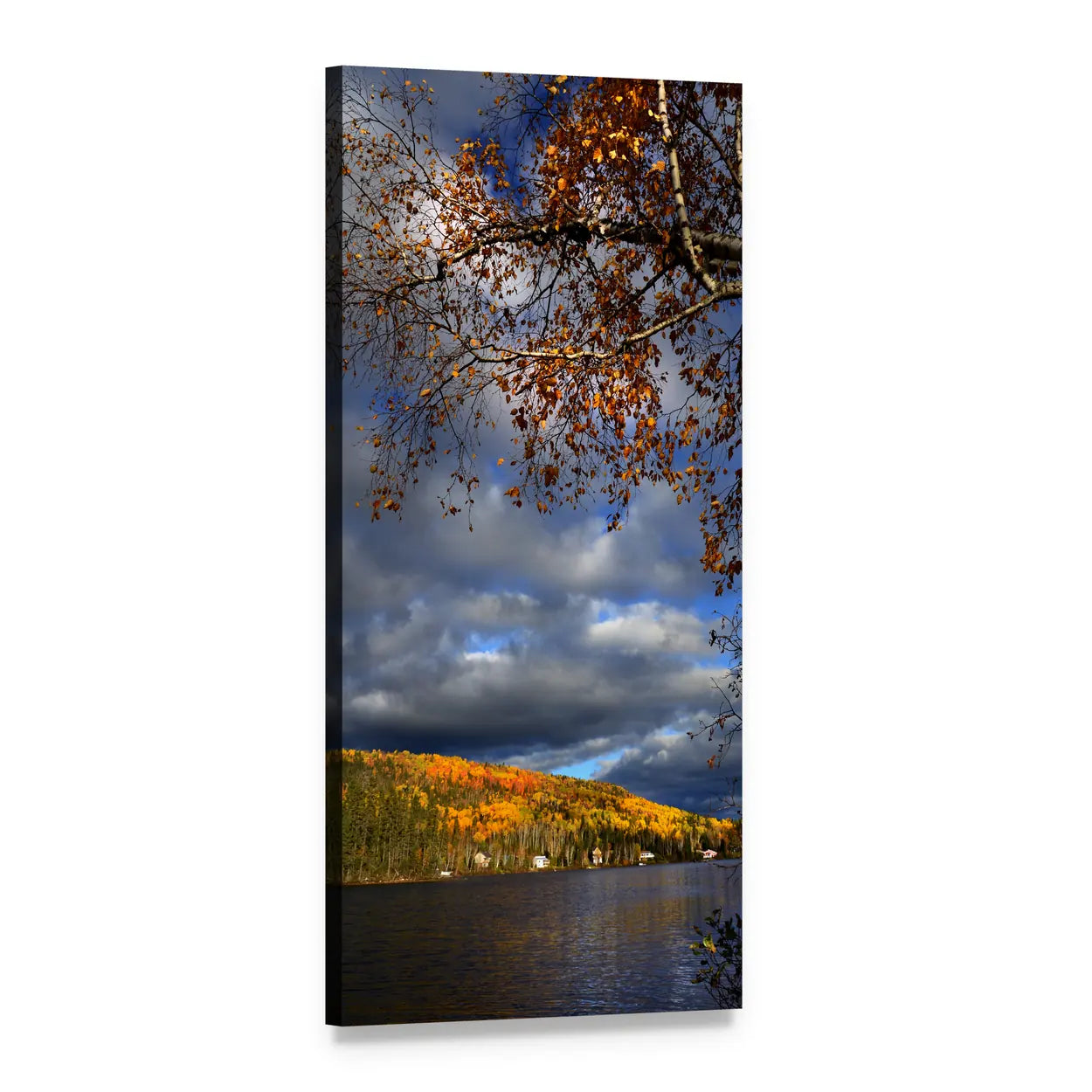 Autumn Lake with Birch Branches Vertical Canvas Wall Art, 1 panel 1 Vertical layout gallery wrapped canvas set, angled product view