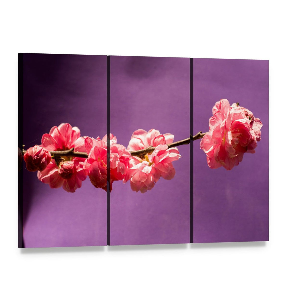 Cherry Blossom Branch in Soft Focus Canvas Wall Art, 3 panel 3 Horizontal layout gallery wrapped canvas set, angled product view