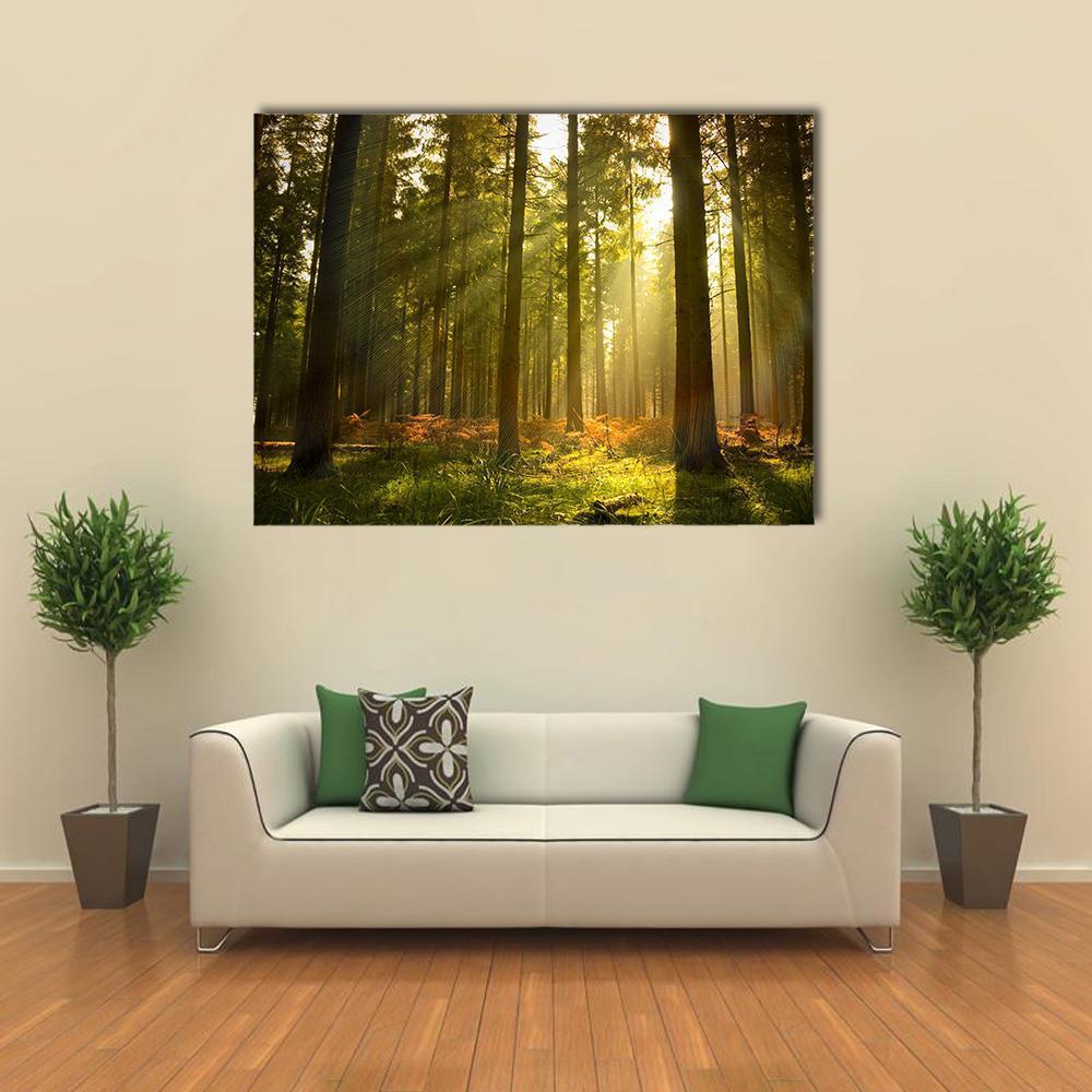 Forest at Dusk Canvas Wall Art in brown, yellow and green, single panel hung on a wall