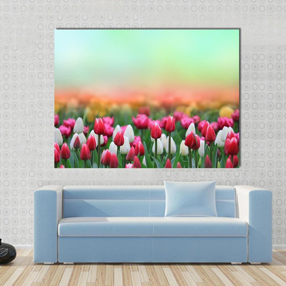 Red and White Tulip Field Canvas Wall Art in white, red and green, single panel hung on a wall