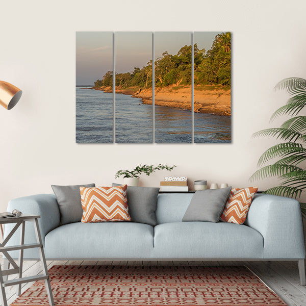 Bank Of The Amazon River Canvas Wall Art-4 Horizontal-Gallery Wrap-34" x 24"-Tiaracle