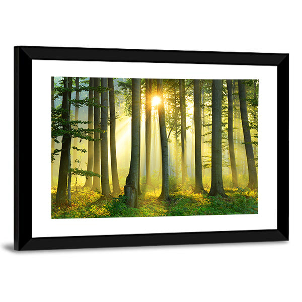 Forest Morning Canvas Wall Art-1 Piece-Framed Print-20" x 16"-Tiaracle