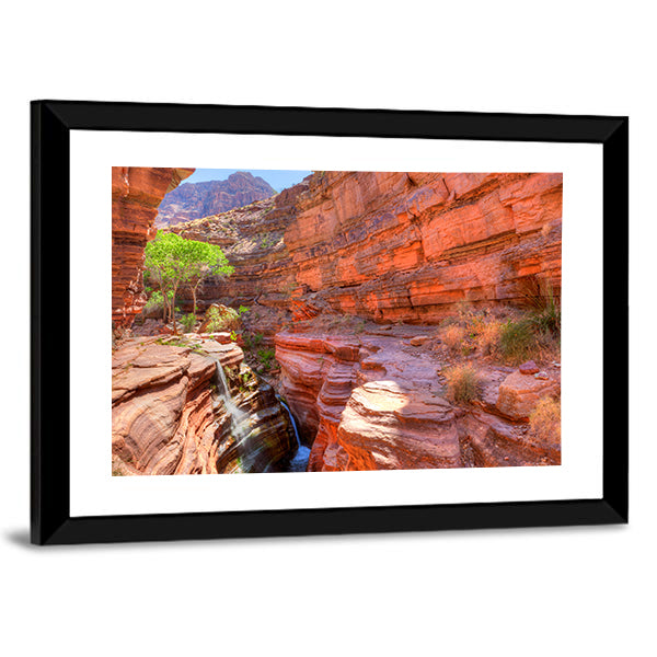 Deer Creek Canyon Canvas Wall Art