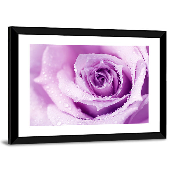 Abstract Purple Rose with Dew Drops Canvas Wall Art