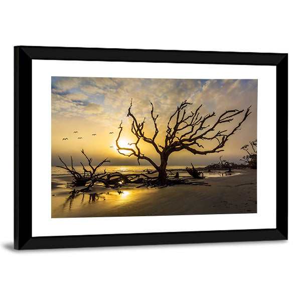 流木フレーム アートパネル Beach Tangled Driftwood at Sunset Beach Canvas Wall Art - Tiaracle