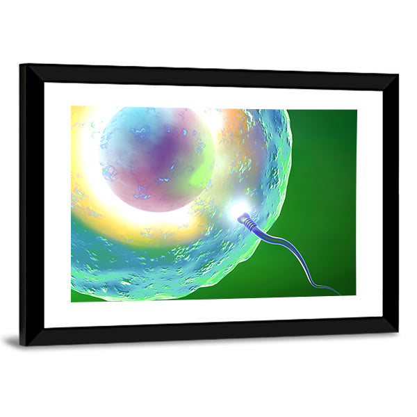 Conception: Ovum and Sperm Canvas Wall Art