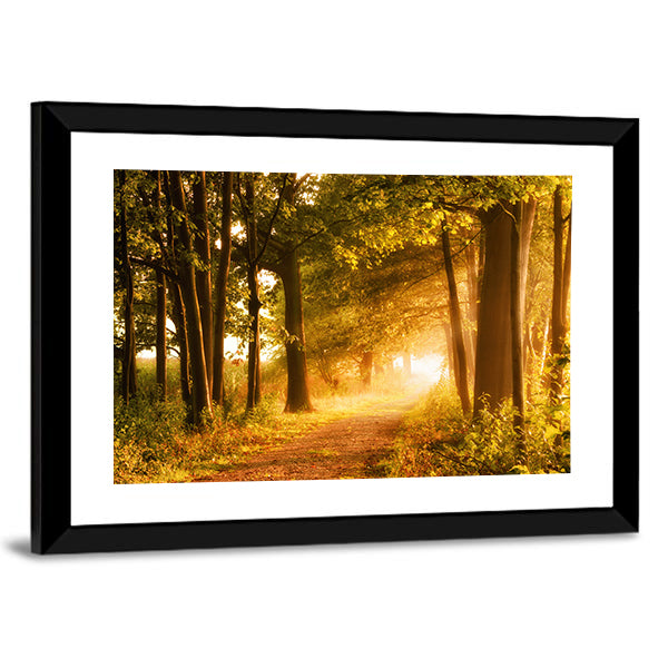 Misty Footpath In Forest Canvas Wall Art-1 Piece-Framed Print-20" x 16"-Tiaracle