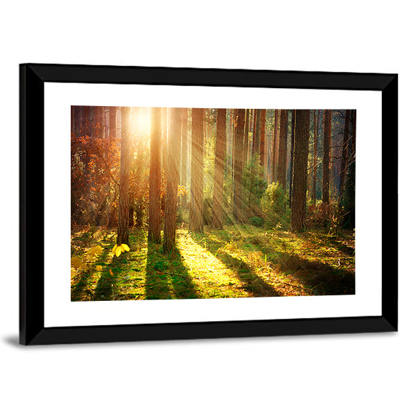 Misty Old Forest Autumn Canvas Wall Art-1 Piece-Framed Print-20" x 16"-Tiaracle
