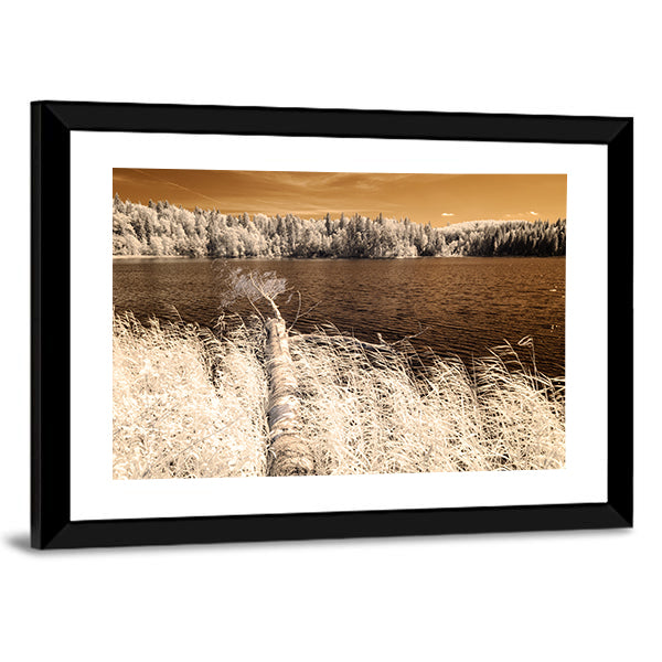 Forest Lake In Summer Day Canvas Wall Art-1 Piece-Framed Print-42" x 14"-Tiaracle