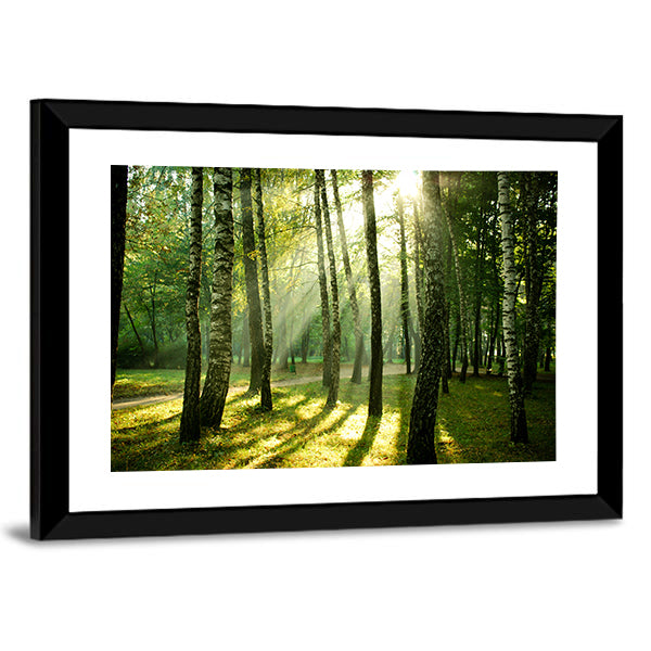Autumn Morning in a Birch Forest Canvas Wall Art