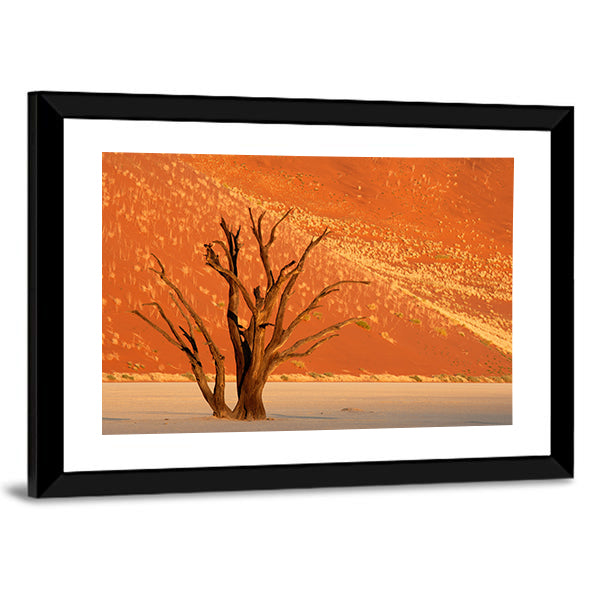 Dead Acacia Tree Against Red Sand Dune  Namibia Canvas Wall Art