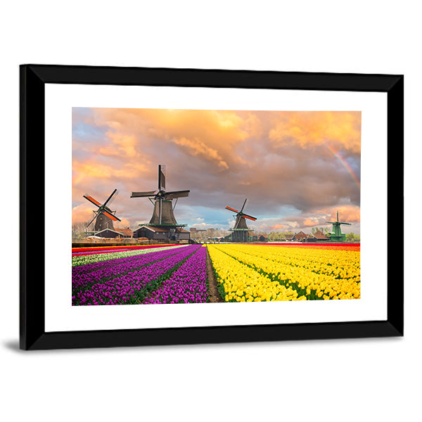 Purple and Yellow Tulip Fields with Windmills Canvas Wall Art